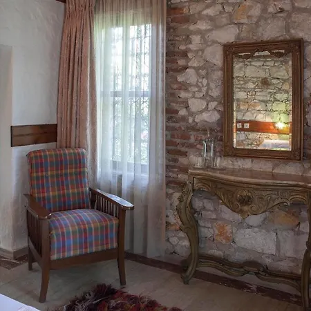 Zeytinbagi Guest house *