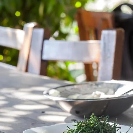 Zeytinbagi Guest house