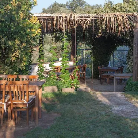 Guest house Zeytinbagi