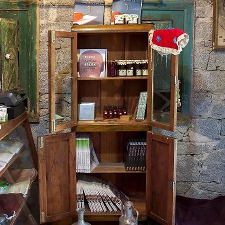 Guest house Zeytinbagi